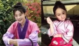 月传芈电视剧在线观看,宫廷权谋，爱恨交织的传奇人生